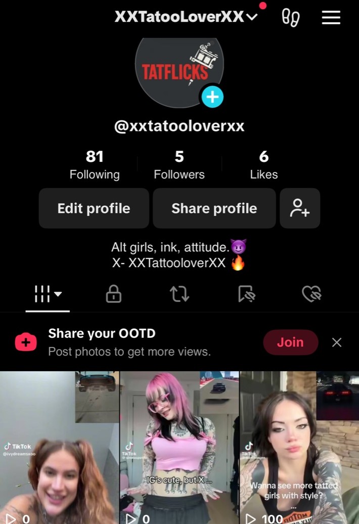 TikTok Preview